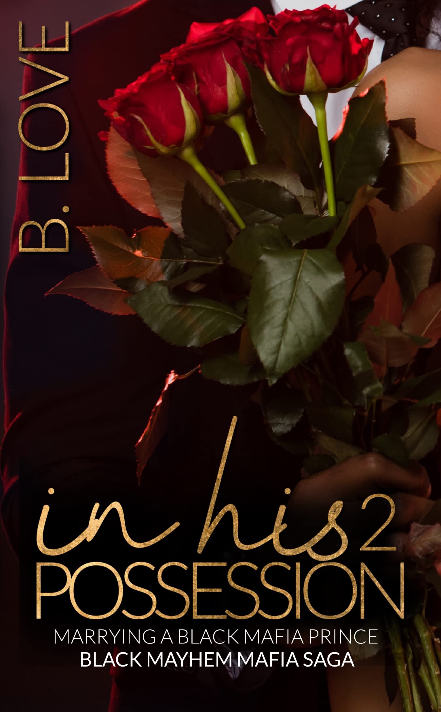 In His Possession 2 book cover