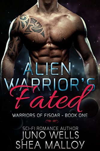 Warriors of Fisoar book cover 1