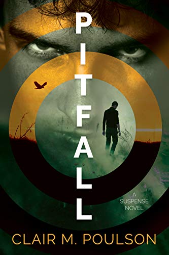Pitfall book cover