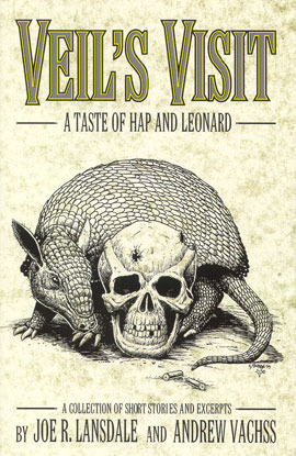 Veil's Visit book cover