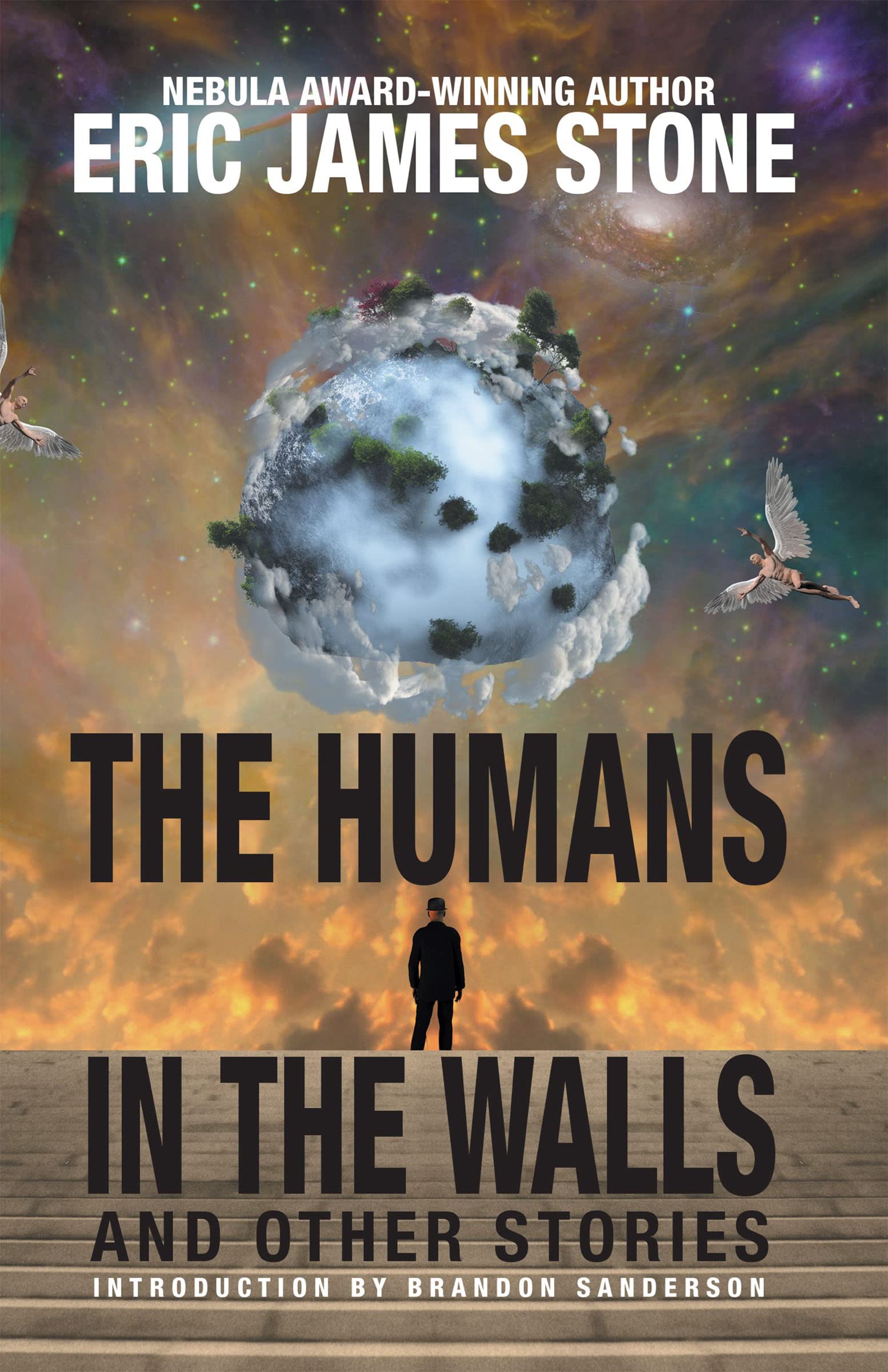 The Humans in the Walls book cover