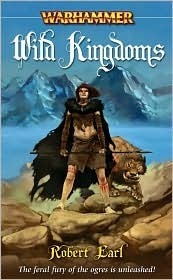 The Adventures of Florin & Lorenzo book cover 2