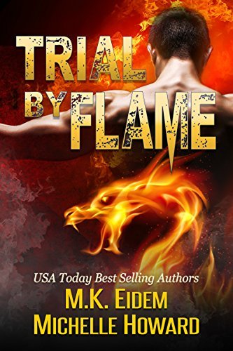 Trial By Flame book cover