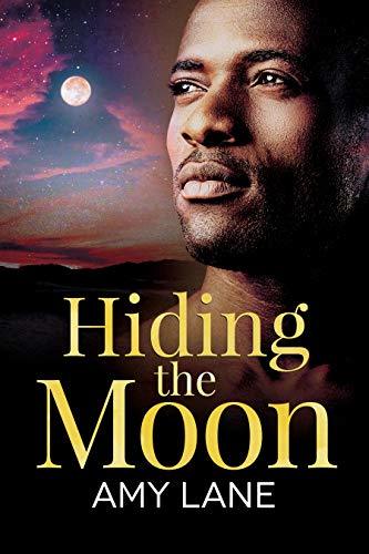 Racing for the Sun book cover 2