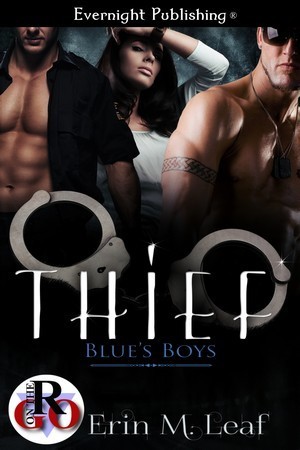 Blue's Boys book cover 1