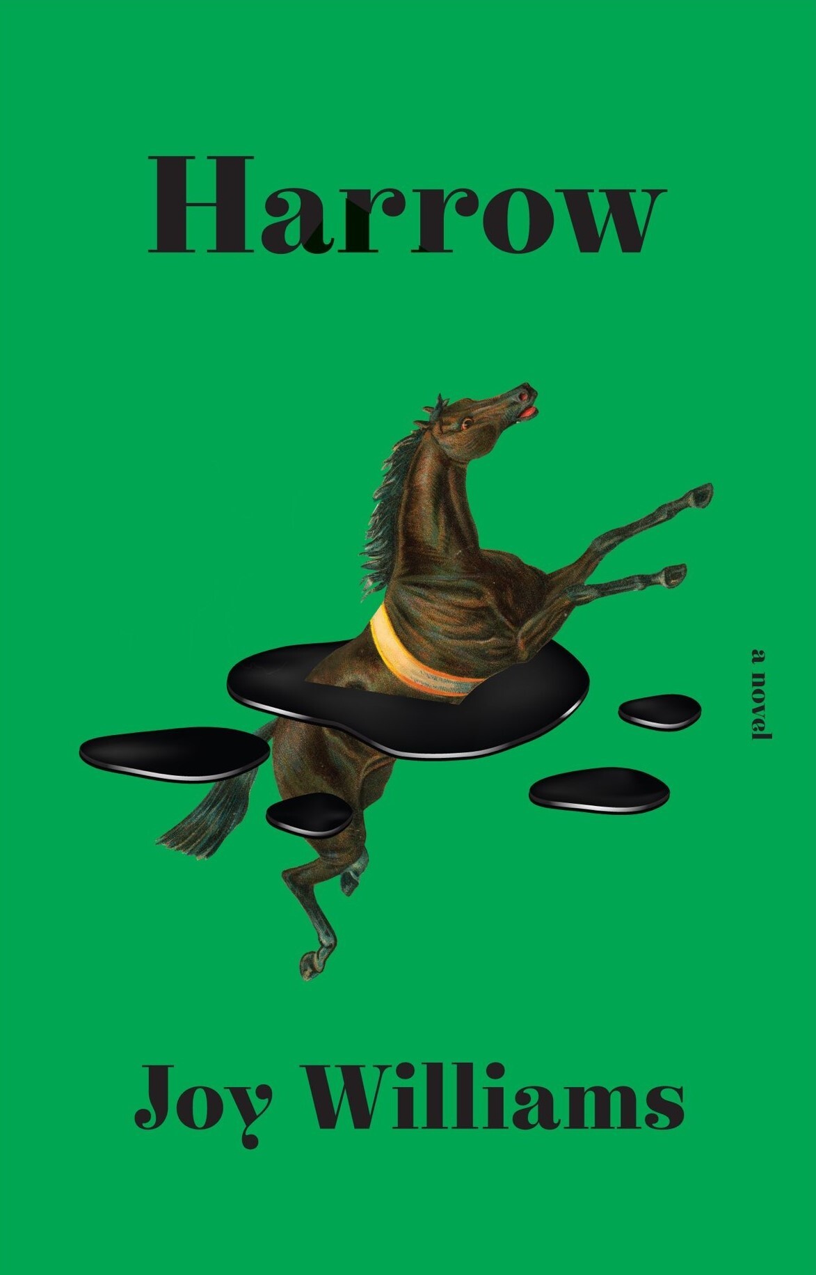 Harrow book cover