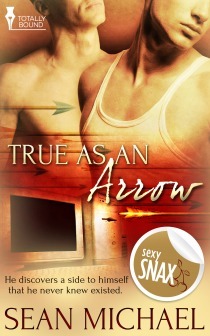 True as an Arrow book cover