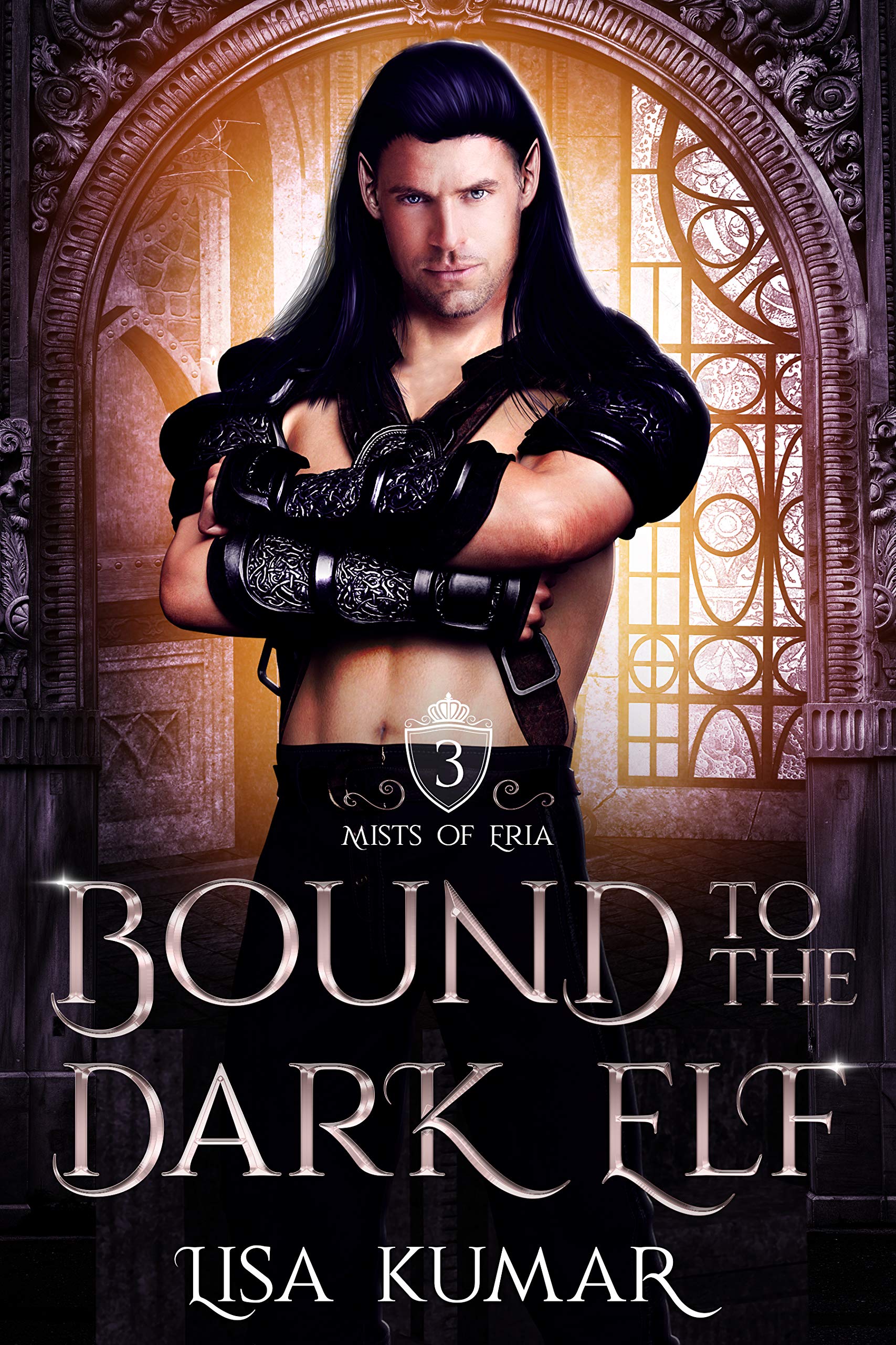 Mists of Eria book cover 3