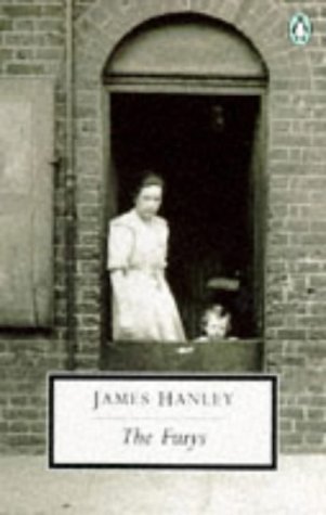 The Furys Saga book cover 1