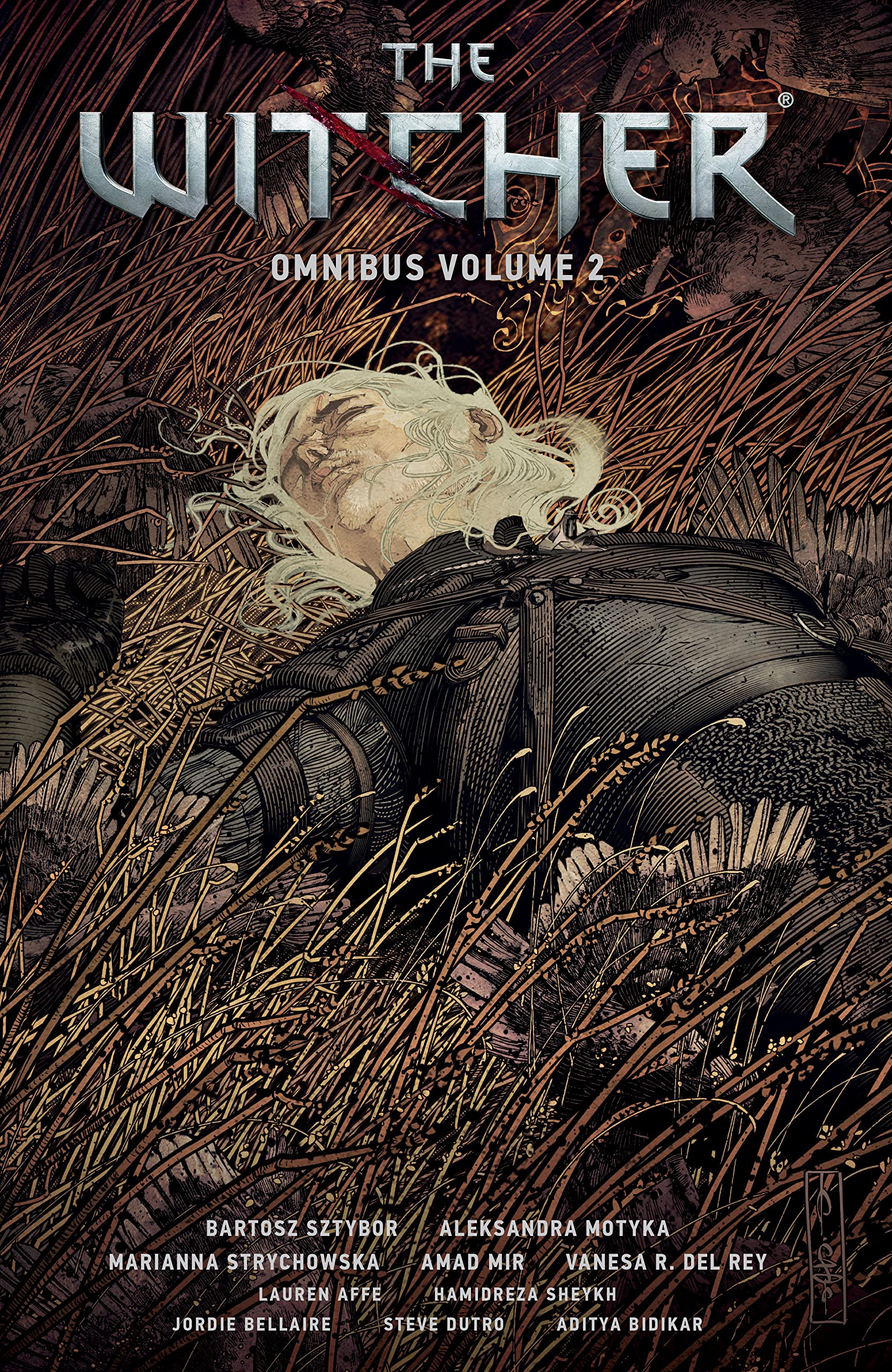 The Witcher Omnibus, Volume 2 book cover