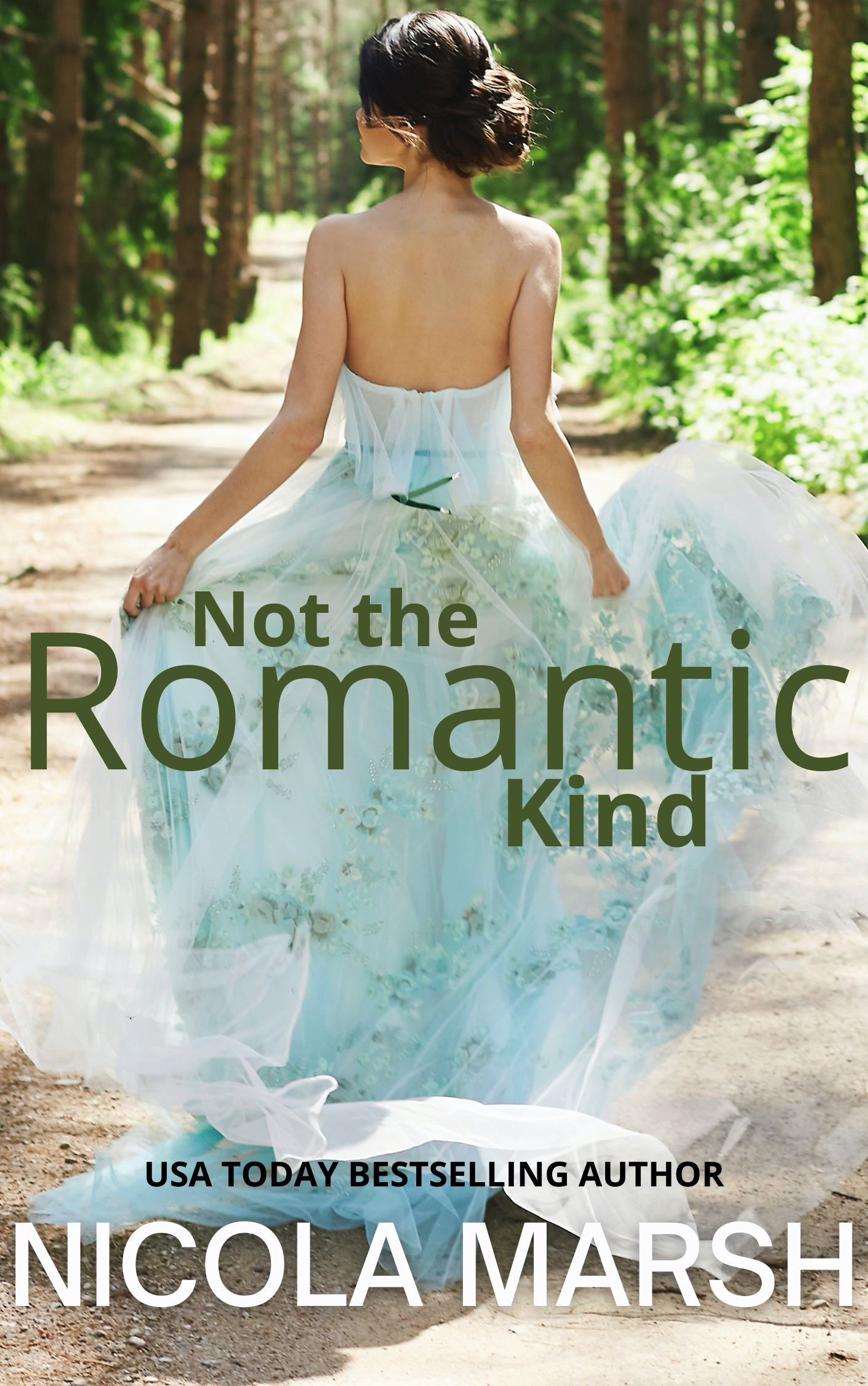 Bashful brides book cover 2