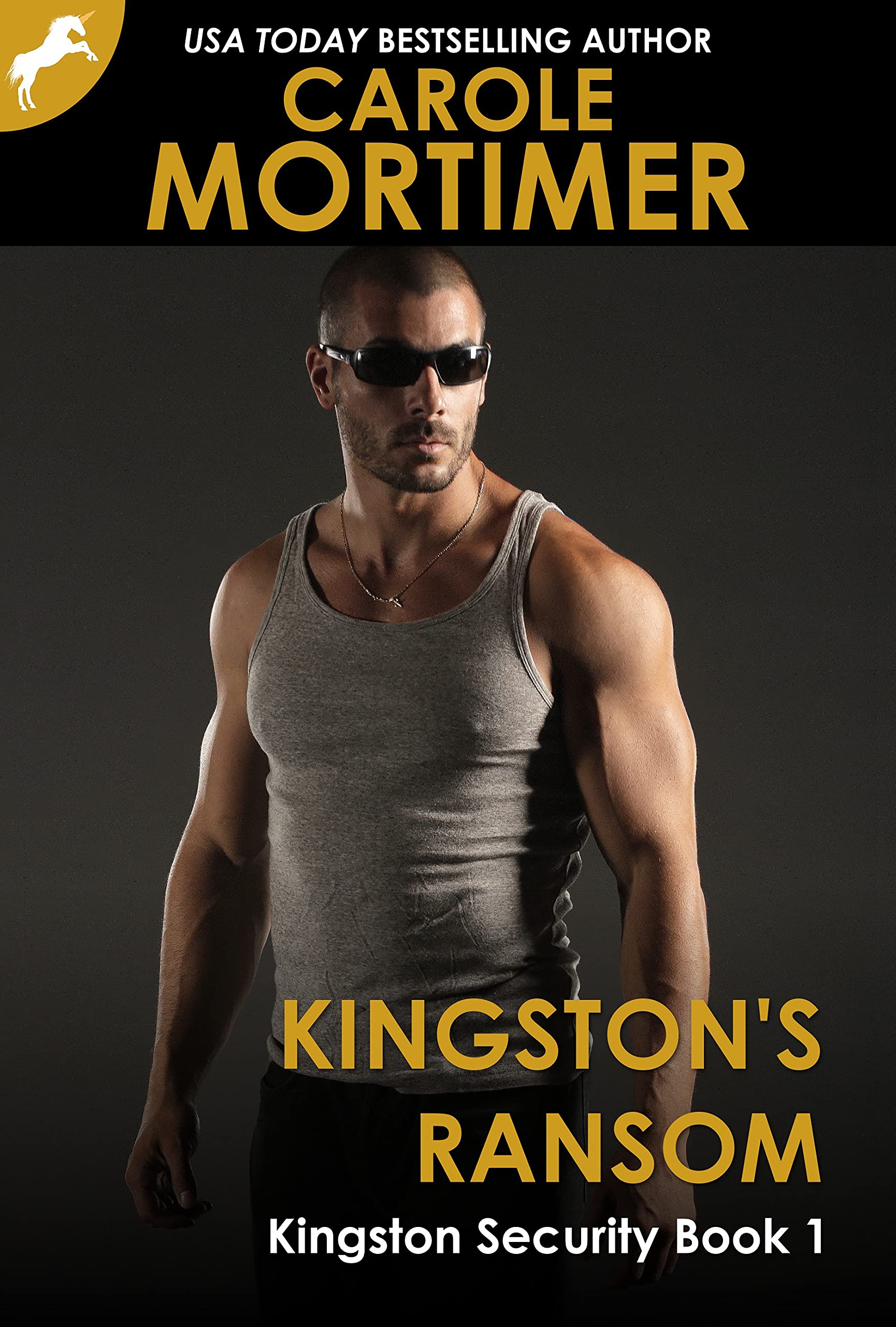 Kingston Security book cover 1