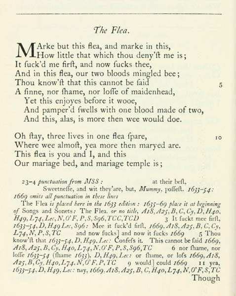 The Flea book cover