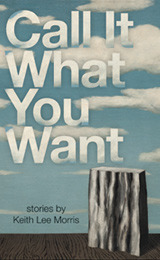 Call it What You Want book cover