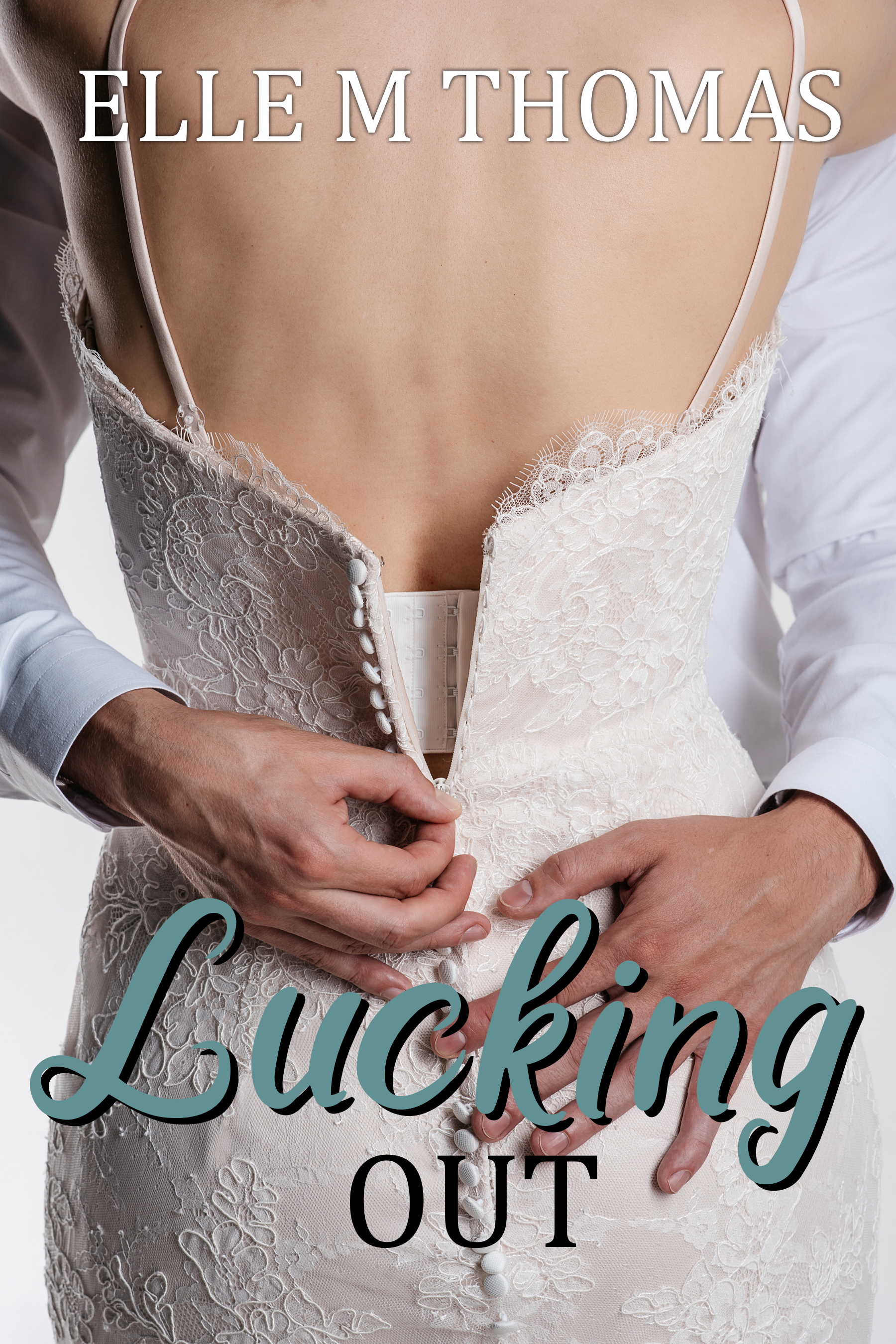 Love in Vegas book cover 1