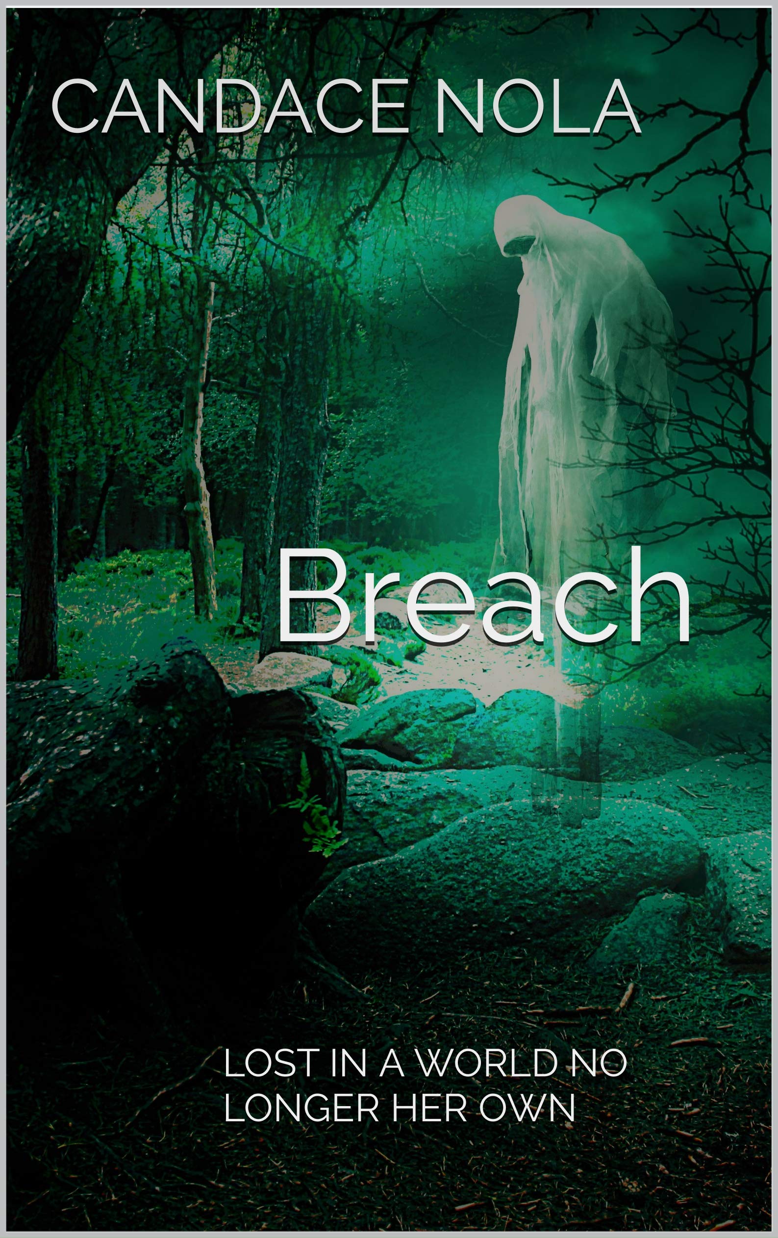 Breach book cover