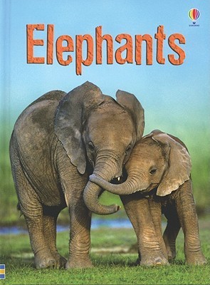 Elephants book cover
