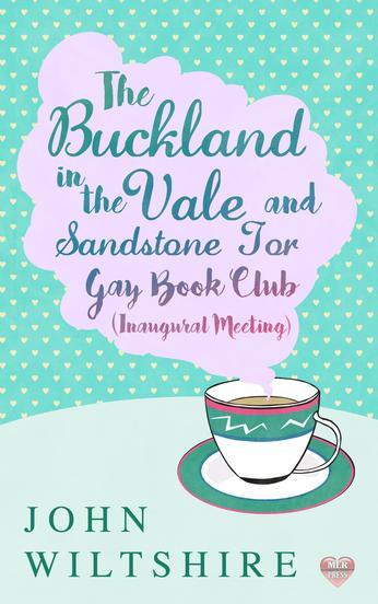 The Buckland-in-the-Vale and Sandstone Tor Gay Book Club book cover