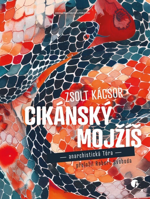 Cikánský Mojžíš book cover
