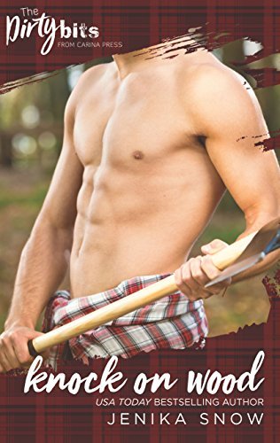 The Ash Brothers book cover 2