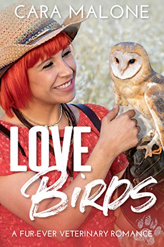 Lovebirds book cover