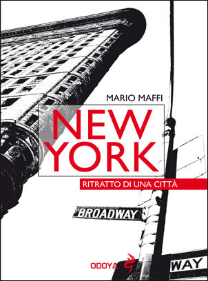 NEW YORK CITY book cover