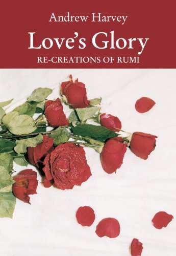 Love's Fire book cover