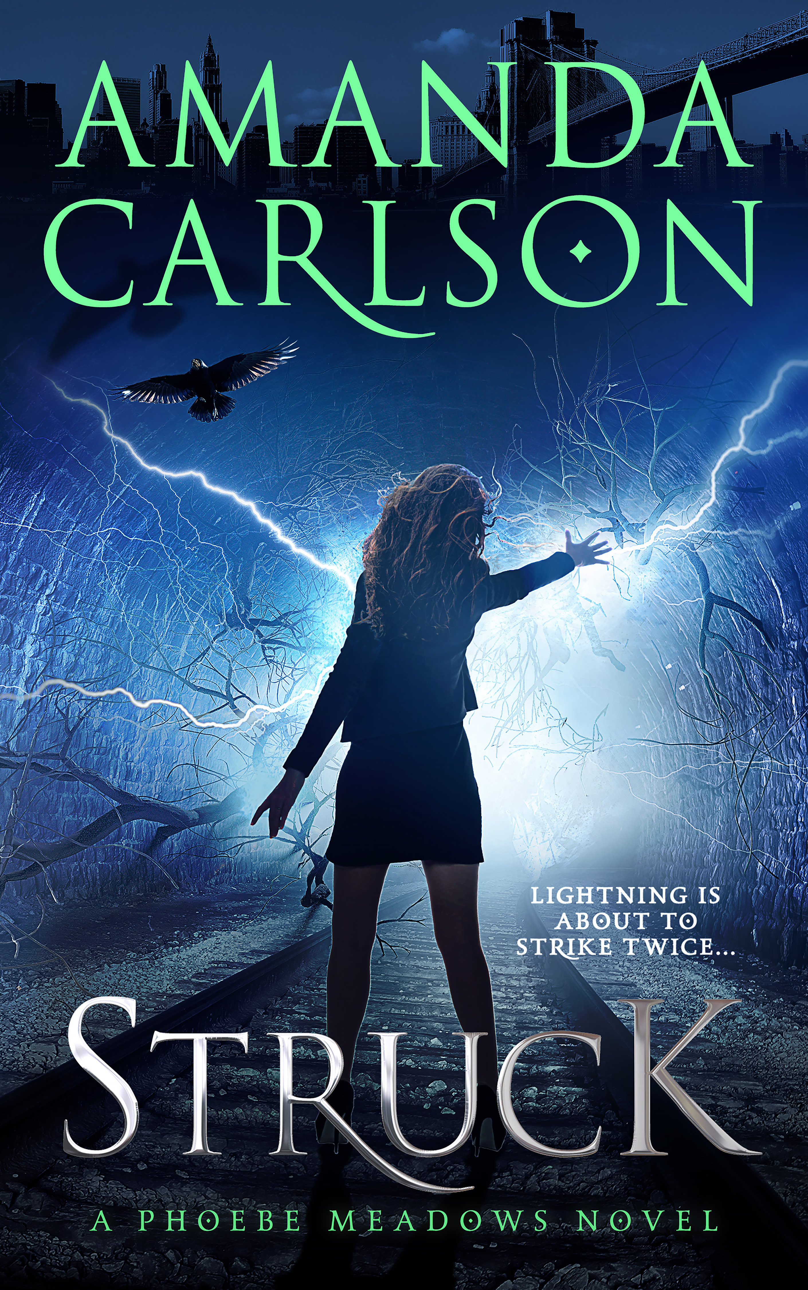 Phoebe Meadows book cover 1