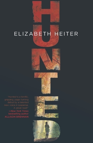 The Profiler book cover 1
