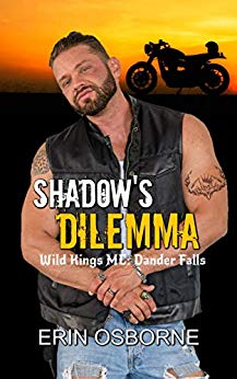 Shadow's Dilemma book cover