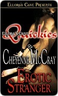 Erotic Stranger book cover
