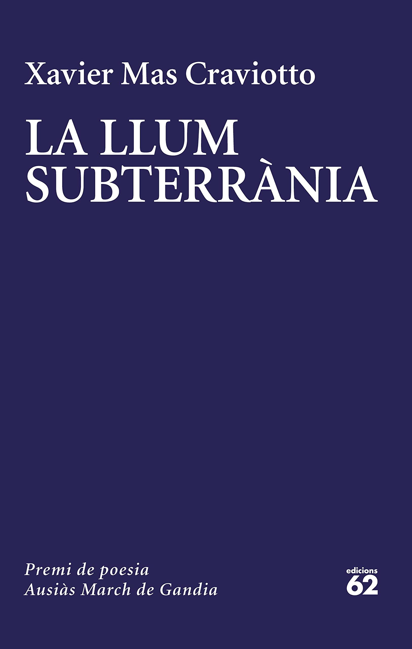 La llum subterrània book cover