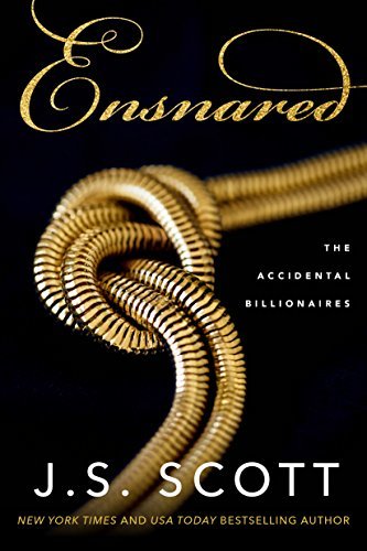 The Accidental Billionaires book cover 1