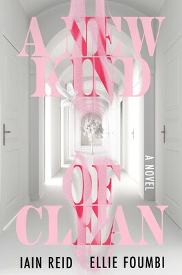 A New Kind of Clean book cover