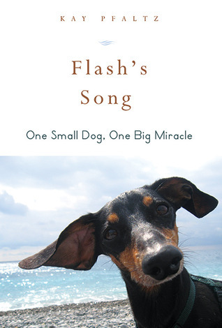 Flash's Song book cover
