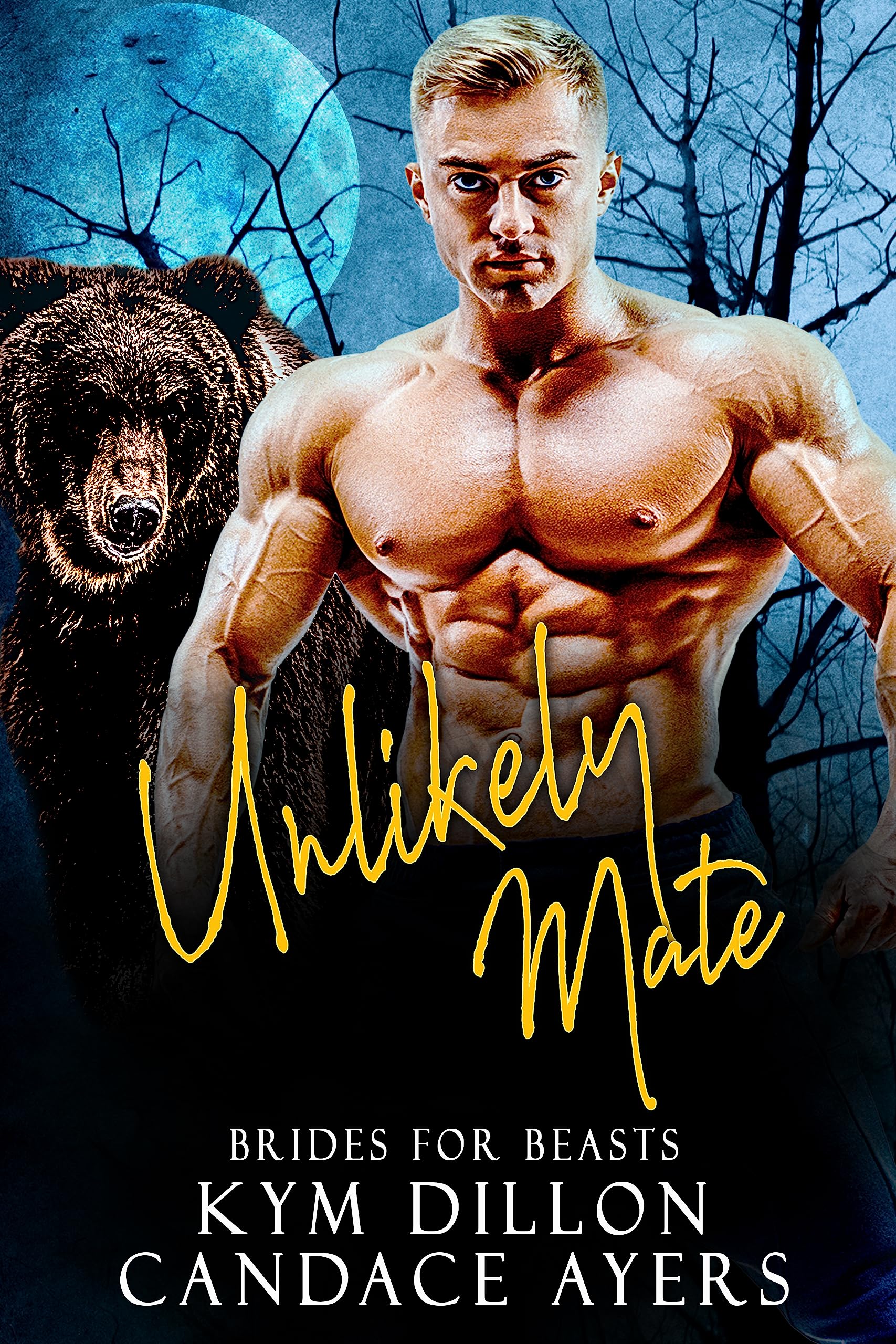 Unlikely Mate book cover