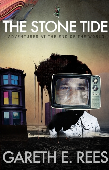 The Stone Tide book cover