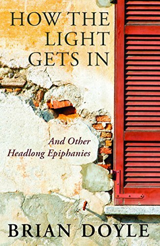 How The Light Gets In book cover