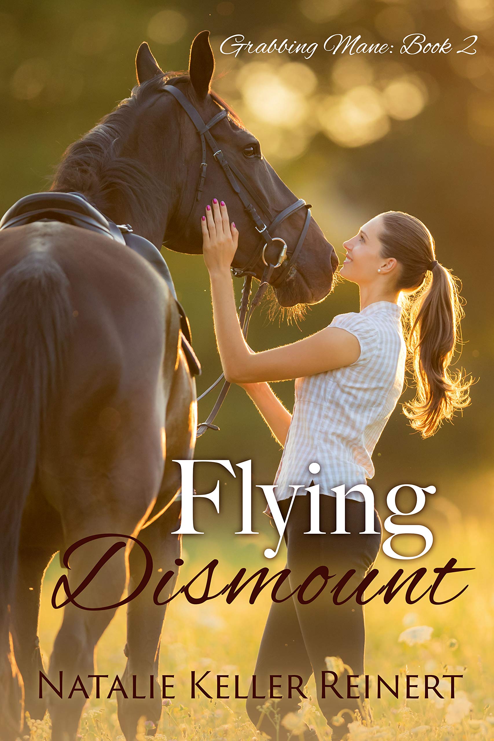 Flying Dismount book cover