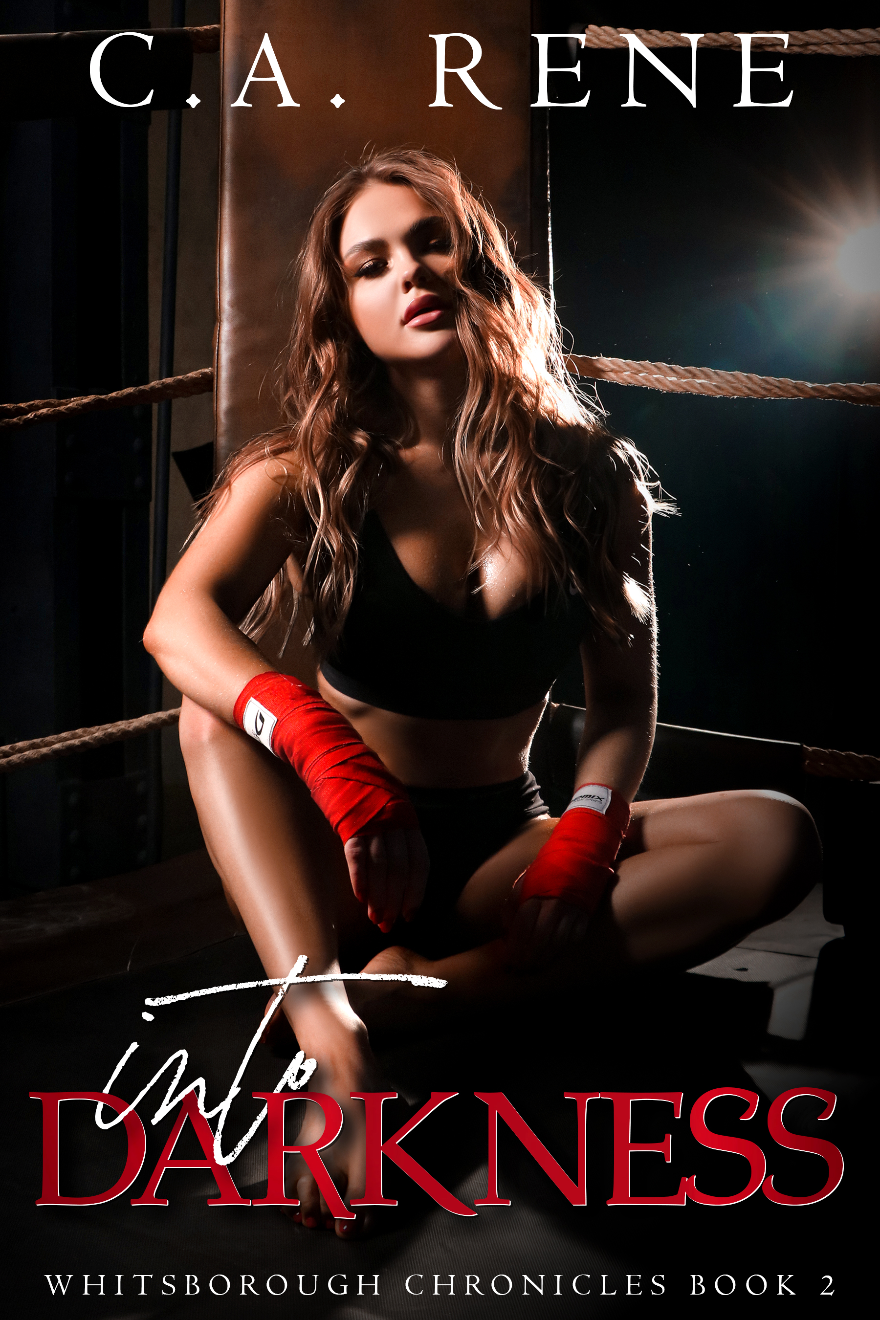Whitsborough Chronicles book cover 2