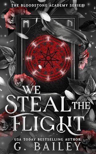 We Steal The Flight book cover