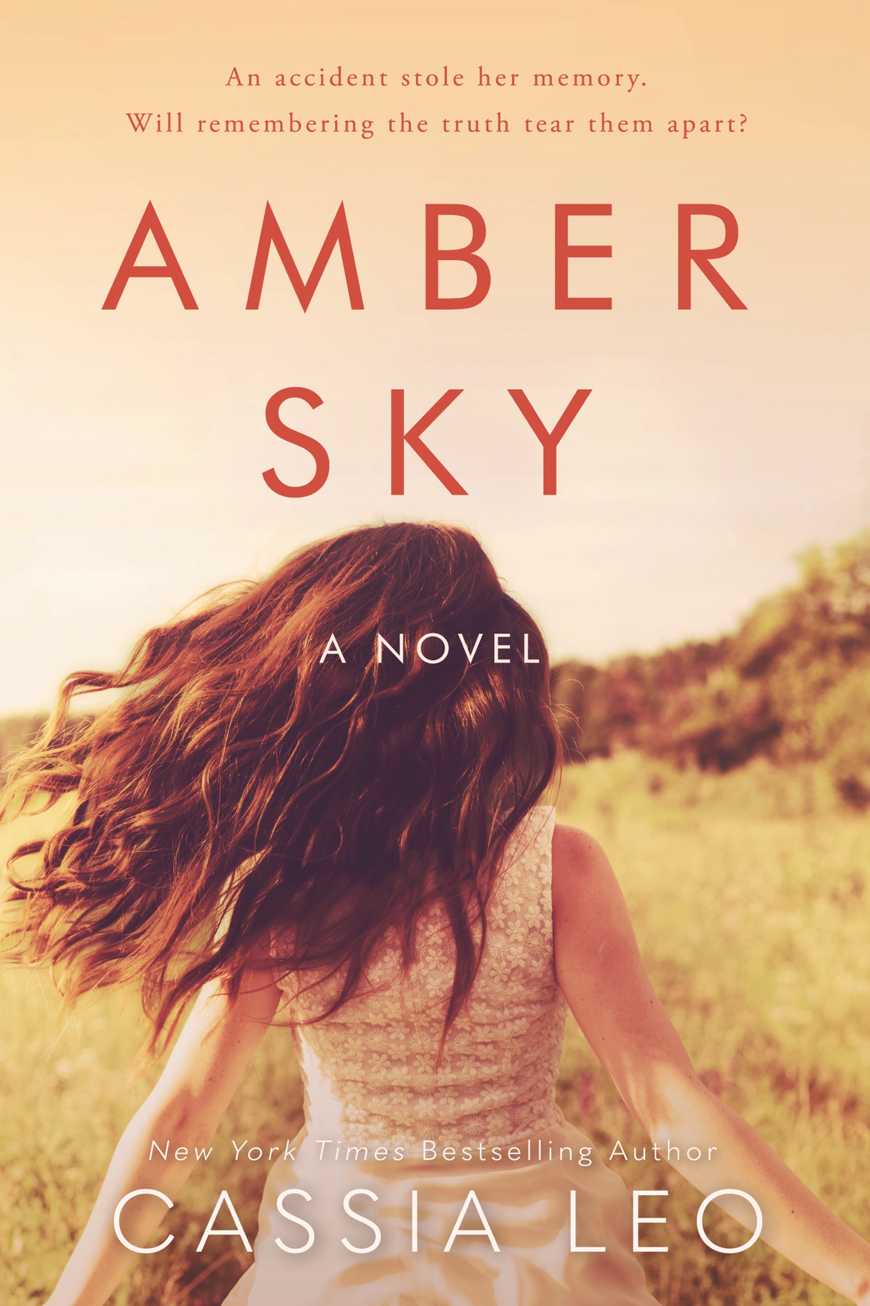 Amber Sky book cover