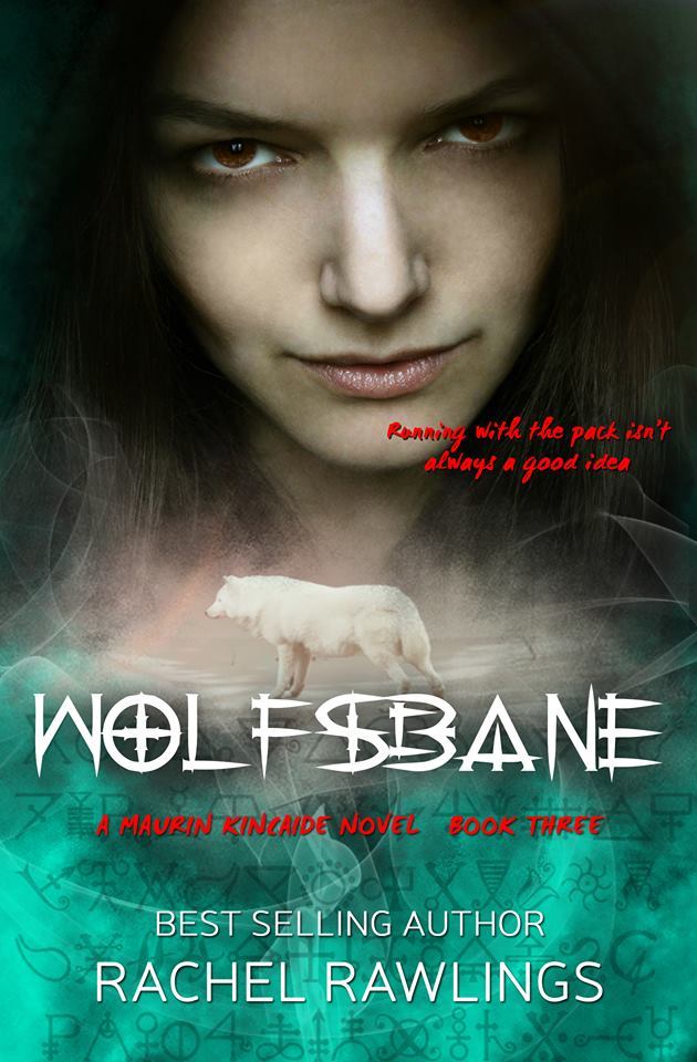 Maurin Kincaide book cover 3