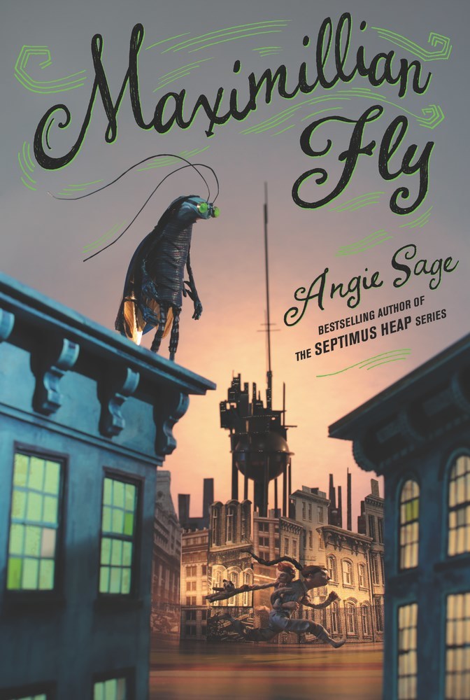 Maximillian Fly book cover