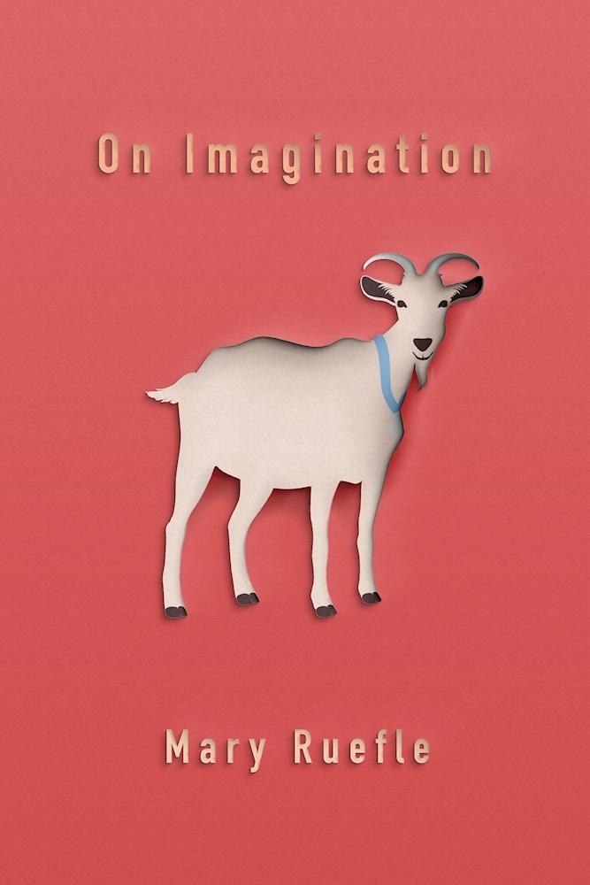 On Imagination book cover