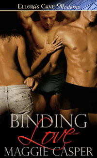Binding Love book cover