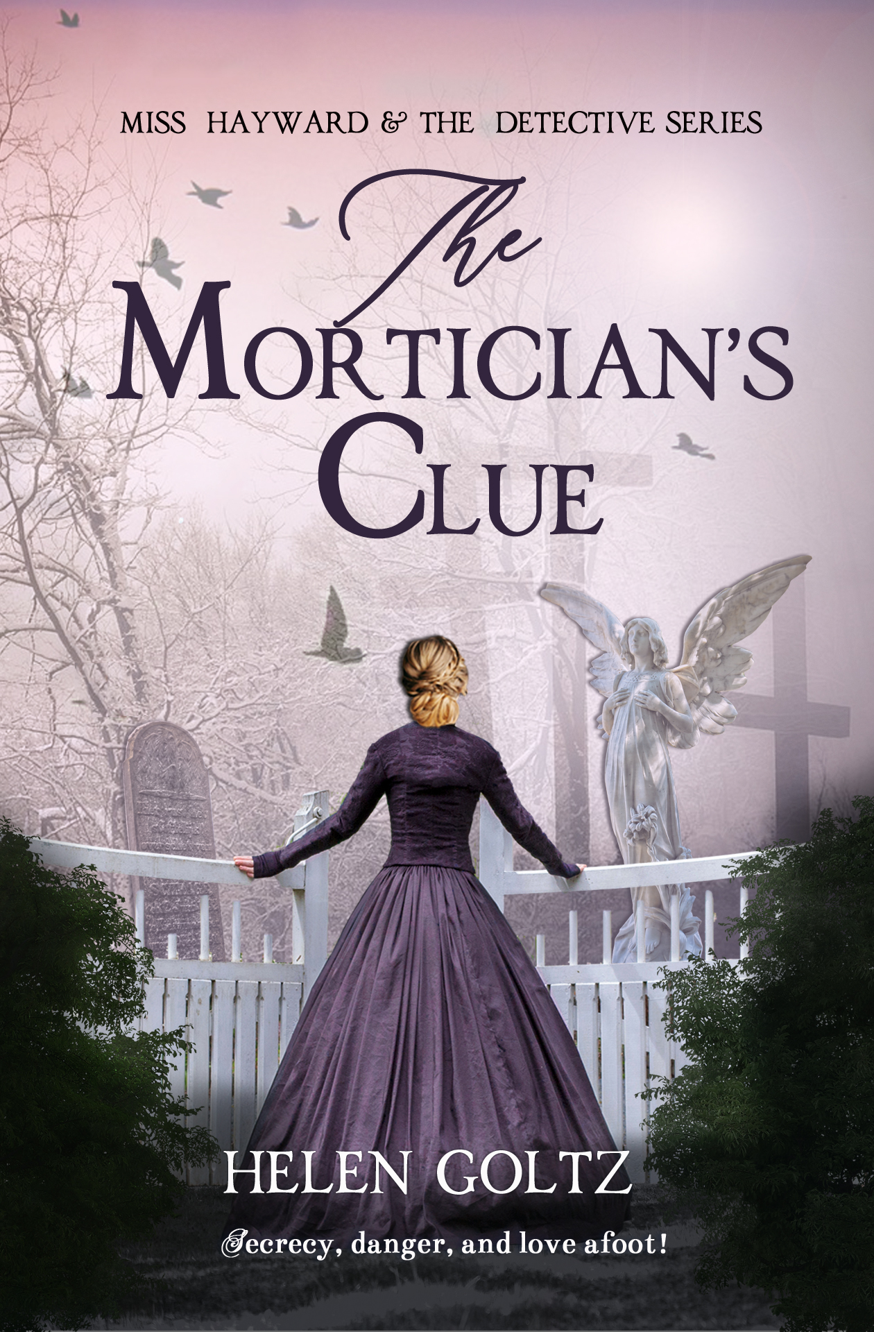 The Mortician's Clue book cover