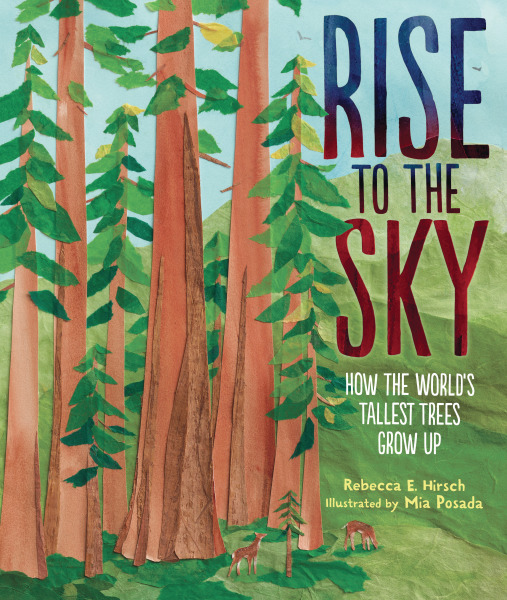 Rise to the Sky book cover