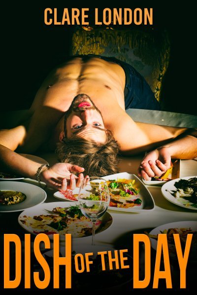 Dish of the Day book cover