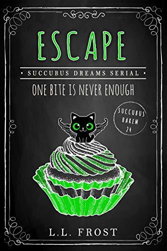 Succubus Dreams book cover 2